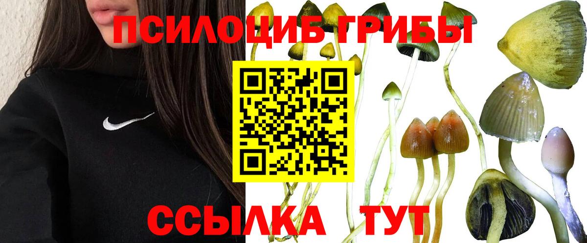 купить   Псилоцибиновые грибы Cubensis  Вход с VPN  Дербент  Галлюциногенные грибы мухоморы 